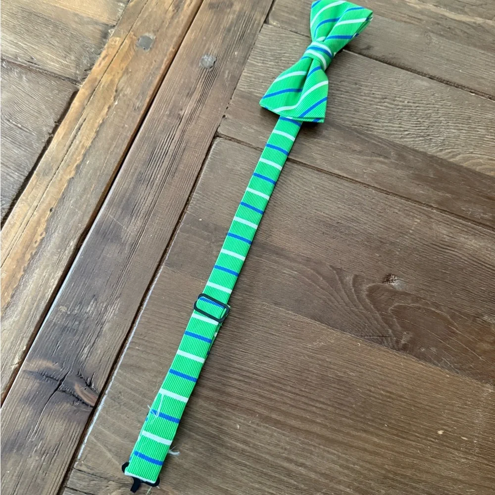 Izod Vibrant Green and Blue Kids Bow Tie